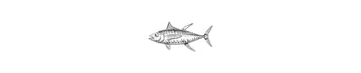 Atún Aleta Amarilla | Yellowfin Tuna