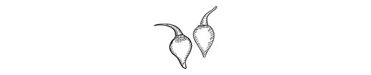 Biquiño |  Biquinho Pepper