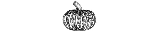 Calabaza Kabocha | Kabocha Squash
