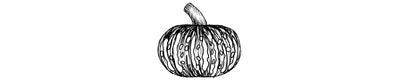 Calabaza Kabocha | Kabocha Squash
