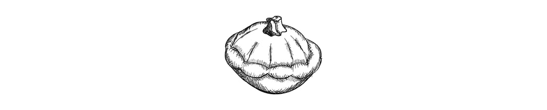 Calabaza Pattypan | Butternut Squash