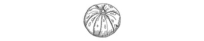 Calabaza Taína | Taina Squash