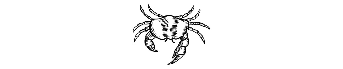 Cangrejo Azul | Blue Crab