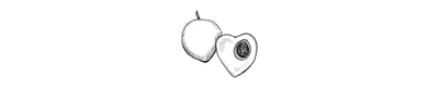 Canistel | Eggfruit