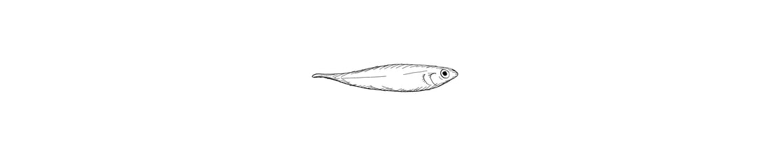 Ceti | Goby Fish