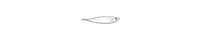 Ceti | Goby Fish