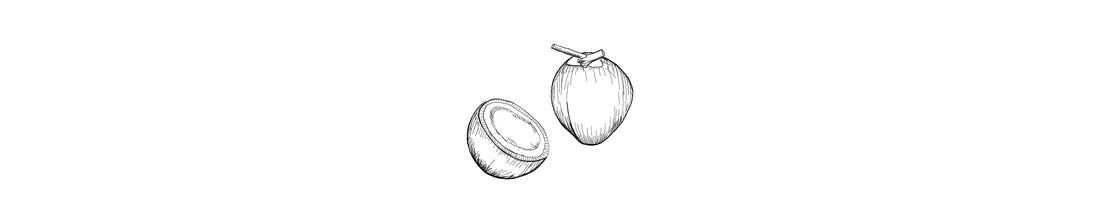 Coco | Coconut