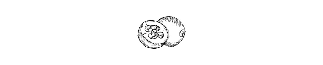 Jagua | Jagua fruit