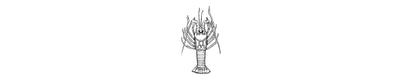 Langosta Pinta | Spotted Spiny Lobster