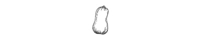 Calabaza Moschata | Butternut Squash