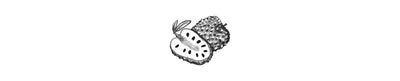 Guanábana | Soursop
