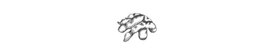 Tamarindo | Tamarind